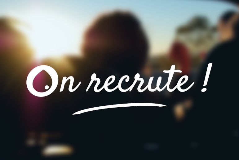 Nous recrutons : CONCEPTEUR – DEVELOPPEUR JAVA / WEB (H/F)